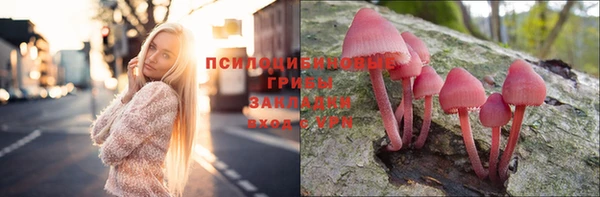 винт Лагань