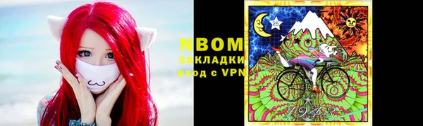 твердый Ладушкин