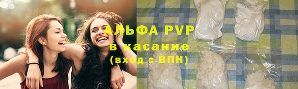 винт Лагань