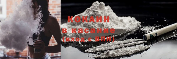 винт Лагань